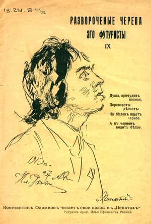 Обложка книги «Развороченные черепа» — Иван Игнатьев, Сергей Бобров, Константин Олимпов, Рюрик Ивнев, Димитрий Крючков, Василиск Гнедов