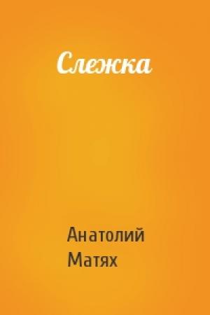 Обложка книги «Слежка» — Анатолий Матях