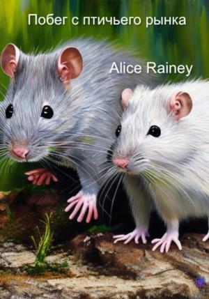 Обложка книги «Побег с птичьего рынка» — Alice Rainey