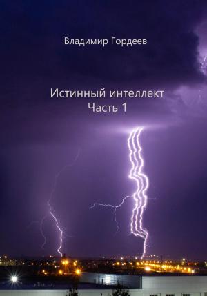 Обложка книги «Истинный интеллект. Часть 1» — Владимир Гордеев