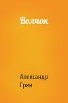 Александр Грин - Волчок