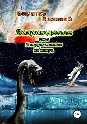 Обложка книги «В недрах ангелы не живут» — Василий Биратко