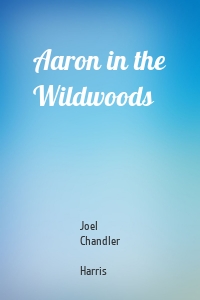 Aaron in the Wildwoods