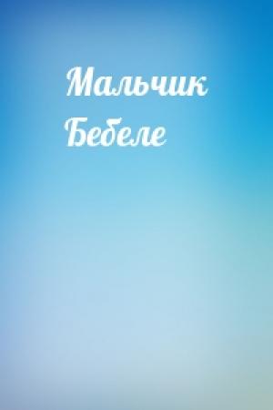 Обложка книги «Мальчик Бебеле»