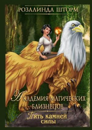 Обложка книги «Академия магических близнецов. Пять камней силы» — Розалинда Шторм