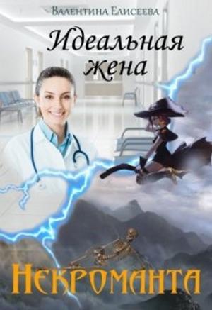 Обложка книги «Идеальная жена некроманта» — Валентина Елисеева