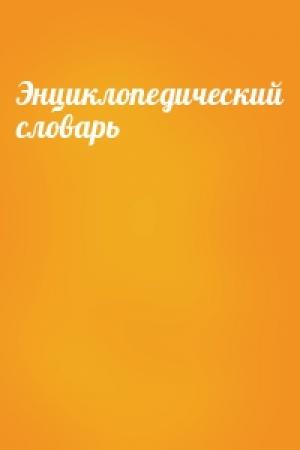 Обложка книги «Энциклопедический словарь»