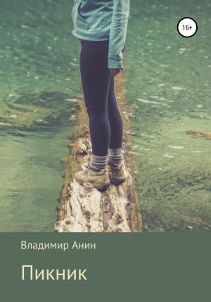 Обложка книги «Пикник» — Владимир Анин
