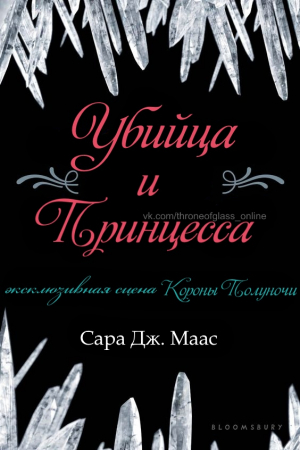 Обложка книги «Убийца и принцесса» — Сара Маас
