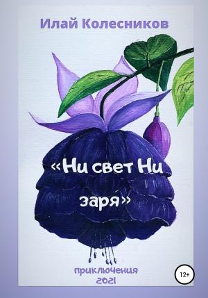 Обложка книги «Ни свет ни заря» — Илай Колесников