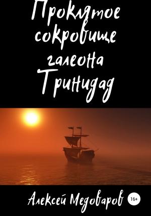 Обложка книги «Проклятое сокровище галеона Тринидад» — Алексей Медоваров