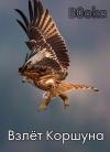 B0oka  - Взлёт Коршуна