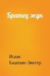 Исаак Башевис-Зингер - Братец жук