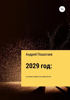 Обложка книги «2029 год: на четверть первого на северо-восток» — Андрей Пошатаев