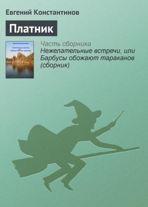 Обложка книги «Платник» — Евгений Константинов