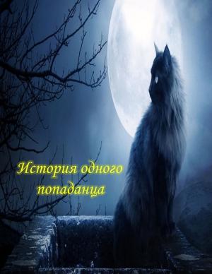 Обложка книги «Я – некромант. Часть 1» — Валерий Андрианов