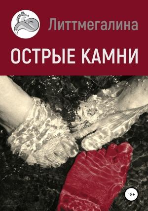 Обложка книги «Острые камни» — Литтмегалина