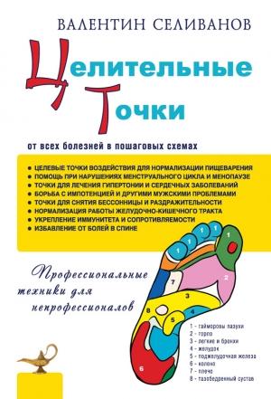 Обложка книги «Целительные точки от всех болезней в пошаговых схемах» — Валентин Селиванов