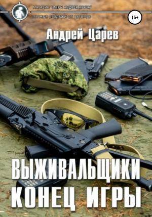 Обложка книги «Конец игры» — Андрей Царев