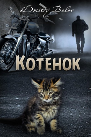 Обложка книги «Котёнок (СИ)» — Дмитрий Белов