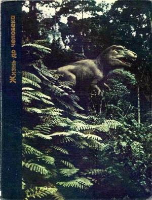 Обложка книги «Жизнь до человека» — Питер Вуд, Луис Вачек, Дора Хэмблин, Джонатан Леонард
