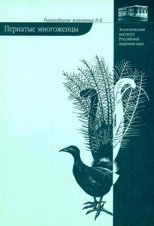 Обложка книги «Пернатые многоженцы» — Владимир Паевский