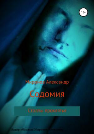 Обложка книги «Содомия» — Александр Миронов