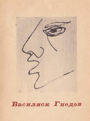 Обложка книги «Эгофутурналия без смертного колпака» — Василиск Гнедов