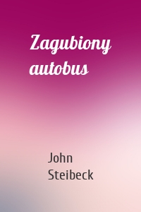 Zagubiony autobus