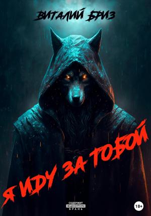 Обложка книги «Я иду за тобой» — Виталий Бриз