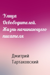 Улица Освободителей. Жизнь начинающего писателя