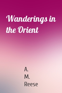 Wanderings in the Orient