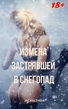 Обложка книги «Измена застрявшей в снегопад» — Jackal54641