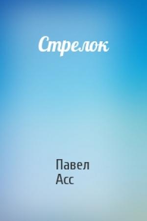 Обложка книги «Стрелок» — Павел Асс