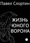 Павел Слортин - Жизнь юного ворона
