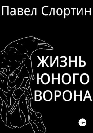Обложка книги «Жизнь юного ворона» — Павел Слортин