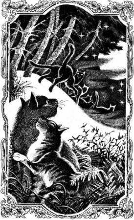 Обложка книги «Время Выбора» — Эрин Хантер