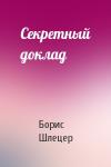 Борис Шлецер - Секретный доклад