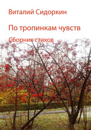 Обложка книги «По тропинкам чувств» — Виталий Сидоркин