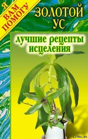 Обложка книги «Золотой ус. Лучшие рецепты исцеления» — Дарья Нестерова