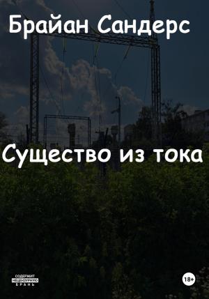Обложка книги «Существо из тока» — Брайан Сандерс