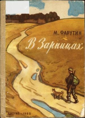 Обложка книги «В Зарницах» — Михаил Фарутин