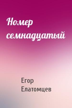 Обложка книги «Номер семнадцатый» — Егор Елатомцев