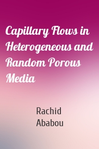 Capillary Flows in Heterogeneous and Random Porous Media