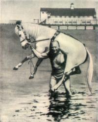 Анна Семироль - Конь на белом принце (СИ)