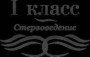 Обложка книги «Школа стервы» — Евгения Шацкая