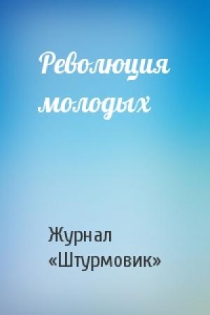 Обложка книги «Революция молодых» — Журнал «Штурмовик»