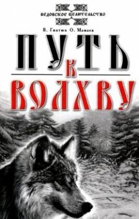 Обложка книги «Путь к волхву» — Валентин Гнатюк, Олег Мамаев
