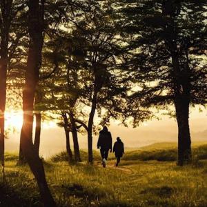 Обложка книги «Невидимые странники» — владас