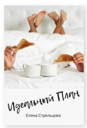 Обложка книги «Идеальный план» — Елена Стрельцова